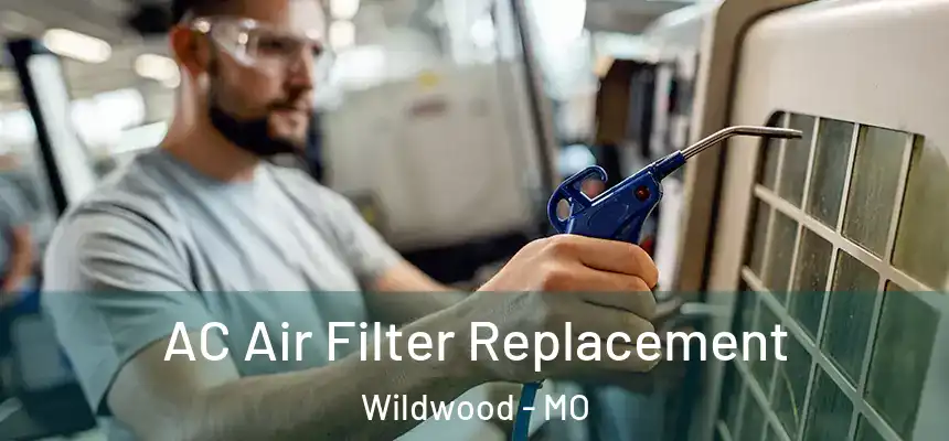  AC Air Filter Replacement Wildwood - MO