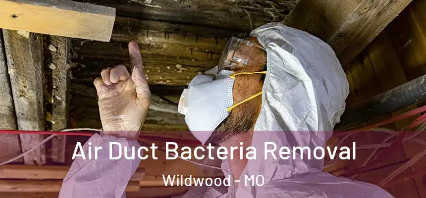  Air Duct Bacteria Removal Wildwood - MO