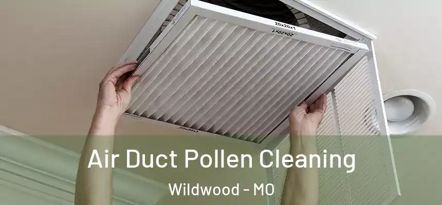  Air Duct Pollen Cleaning Wildwood - MO
