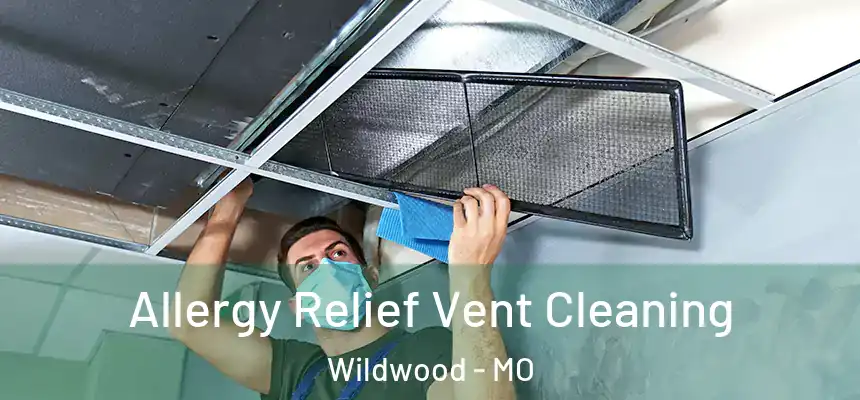  Allergy Relief Vent Cleaning Wildwood - MO