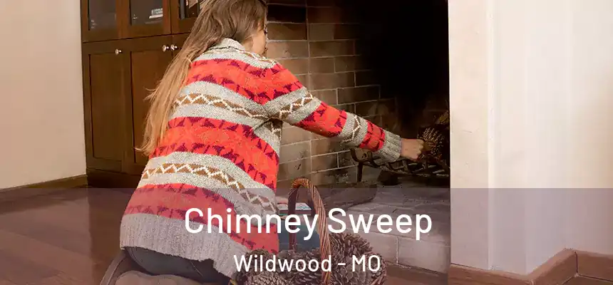 Chimney Sweep Wildwood - MO