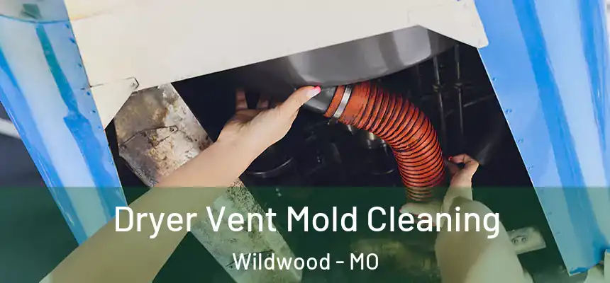  Dryer Vent Mold Cleaning Wildwood - MO