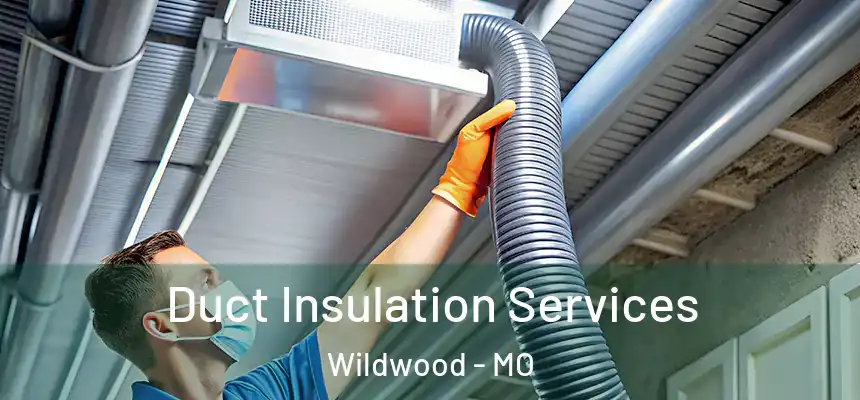  Duct Insulation Services Wildwood - MO
