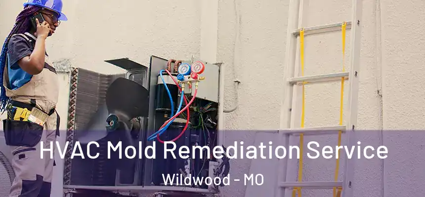  HVAC Mold Remediation Service Wildwood - MO