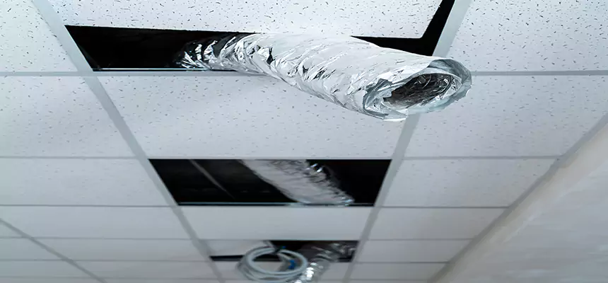 Our Air Duct Pet Hair Removal Services in Wildwood, MO