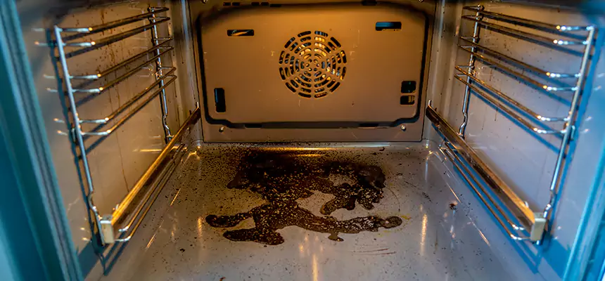 Our Dryer Vent Mold Cleaning Services in Wildwood, MO