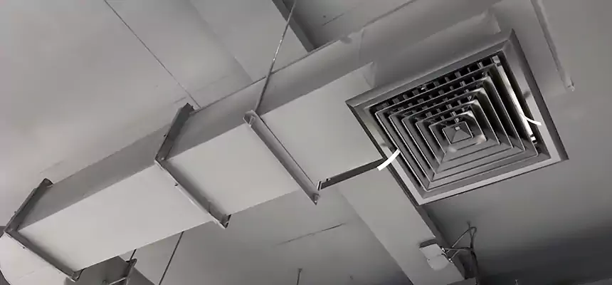 Our Pest Removal From Ducts Services in Wildwood, MO