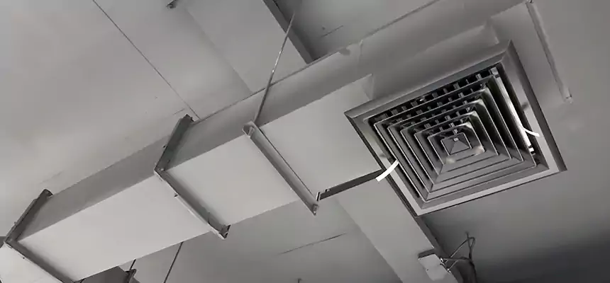 Our Rodent Droppings In Vents Services in Wildwood, MO