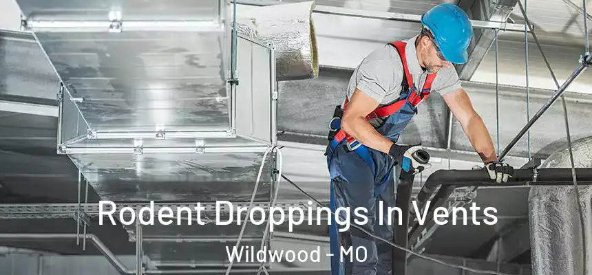 Rodent Droppings In Vents Wildwood - MO