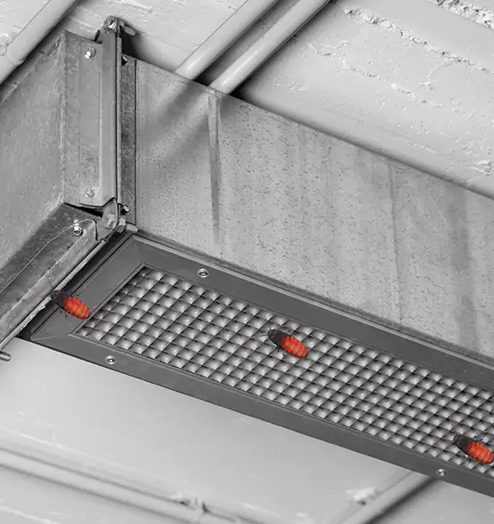 Affordable Insect Removal from Air Ducts in Wildwood, MO