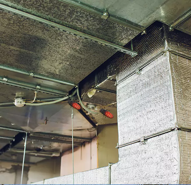 Why Homeowners & Businesses Trust Us Wildwood, MO?